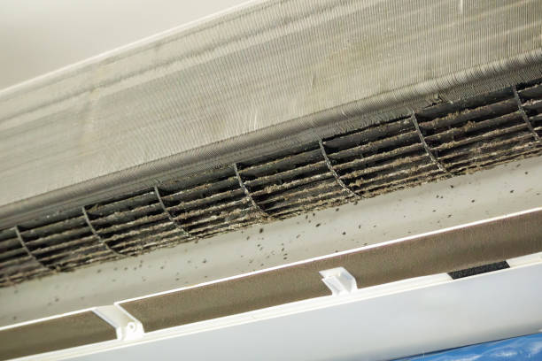 Best Best Air Duct Cleaning Near Me  in Temple, PA