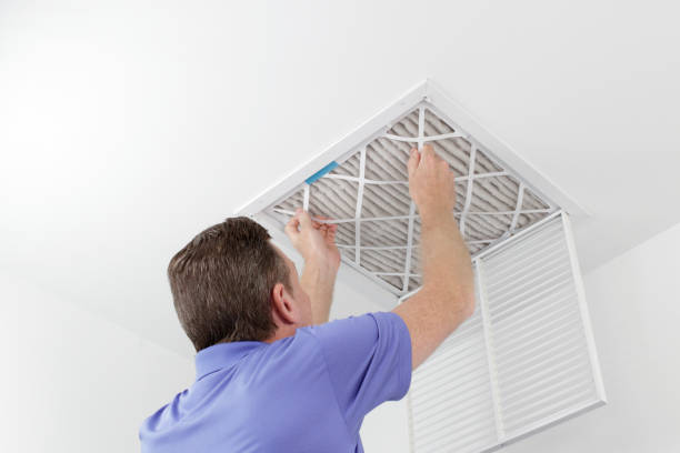 Best Ductwork Cleaning Services  in Temple, PA